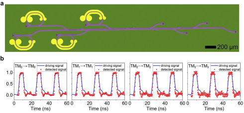 Electro-optic modulation and mode (de)multiplexing were realized in the same lithium niobate chip.